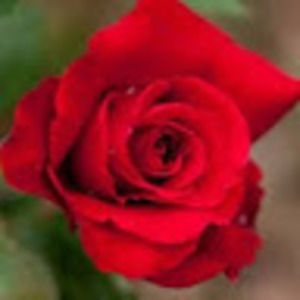 Meet your Posher, Mariyag24